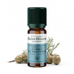 PROVENCE CYPRESS