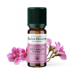 ROSE GERANIUM