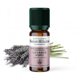 Huile Essentielle Bio de Lavande Aspic