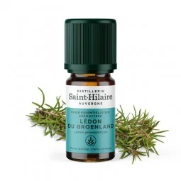 Huile Essentielle Ledon du Groenland Bio