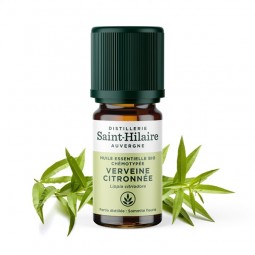 VERVEINE CITRONNEE (LEMON...