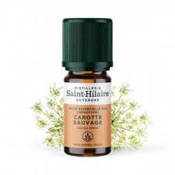 WILD CARROT