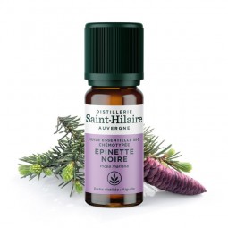 Huile Essentielle d'Épinette Noire Bio