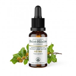 MACERAT DE HETRE BIO