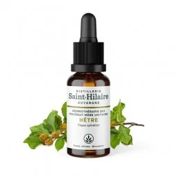 MACERAT DE HETRE BIO