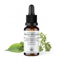 ORGANIC ELDER MACERATE