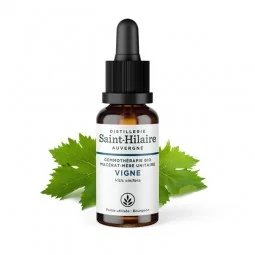 MACERAT DE VIGNE BIO