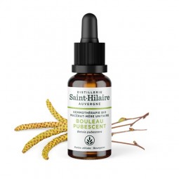ORGANIC DOWNY BIRCH MACERATE