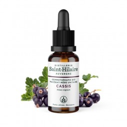 MACERAT DE CASSIS BIO