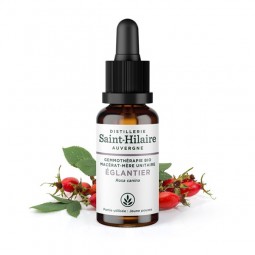ORGANIC DOG ROSE MACERATE