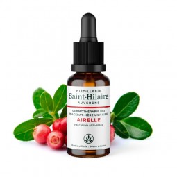MACERAT D'AIRELLE BIO