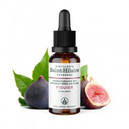 MACERAT DE FIGUIER BIO