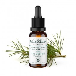 ORGANIC SCOTS PINE MACERATE