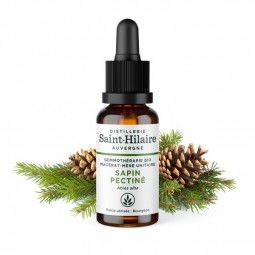 ORGANIC SILVER FIR MACERATE