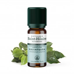 Huile Essentielle Bio de Ravintsara 10ml