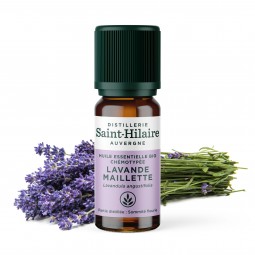 copy of LAVENDER