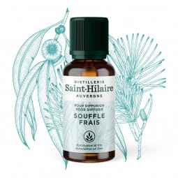 Synergie d'huile essentielles à diffuser Souffle frais