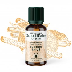Synergie d'huile essentielles à diffuser Flacon épicé