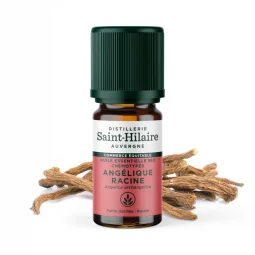 ORGANIC ANGELICA ROOT