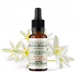 Fleur de Bach Dame d'onze-heure N°29 Bio