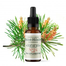 copy of HELP'MINCEUR (CELLULITE AND WATER RETENTION)