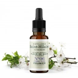 Fleur de Bach Prunier N°6 Bio
