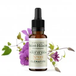 Fleur de Bach Clématite N°9 Bio