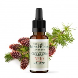 Fleur de Bach Mélèze N°19 Bio