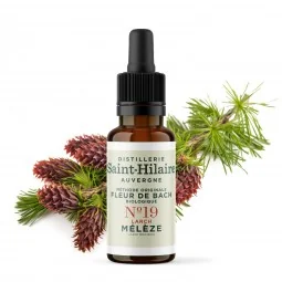Fleur de Bach Mélèze N°19 Bio