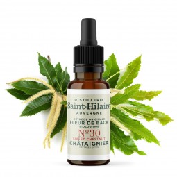 Fleur de Bach Châtaignier N°30 Bio