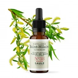 Fleur de Bach Saule N°38 Bio