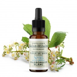 Fleur de Bach Marronnier Blanc N°35 Bio