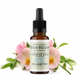 copy of HELP'MINCEUR (CELLULITE AND WATER RETENTION)