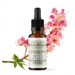 Fleur de Bach Marronnier Rouge N°25 Bio