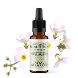 Fleur de Bach Hottonie des Marais N°34 Bio