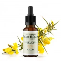 Fleur de Bach Ajonc N°13 Bio