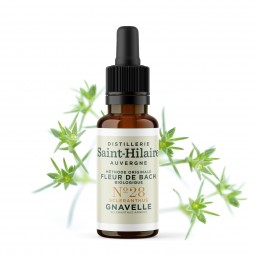 copy of HELP'MINCEUR (CELLULITE AND WATER RETENTION)