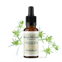 Fleur de Bach Gnavelle N°28 Bio