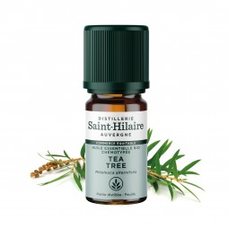 TEA TREE