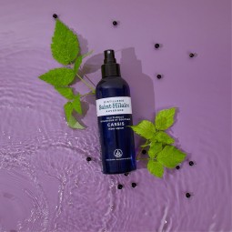Eau Florale de Cassis Bio