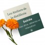 ATELIER N°5 - Journée de la Femme