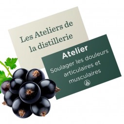 ATELIER N°6 : Soulager les douleurs articulaires et musculaires