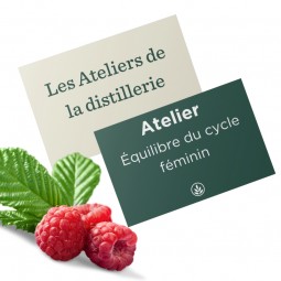 ATELIER N°8 : Équilibre du cycle féminin