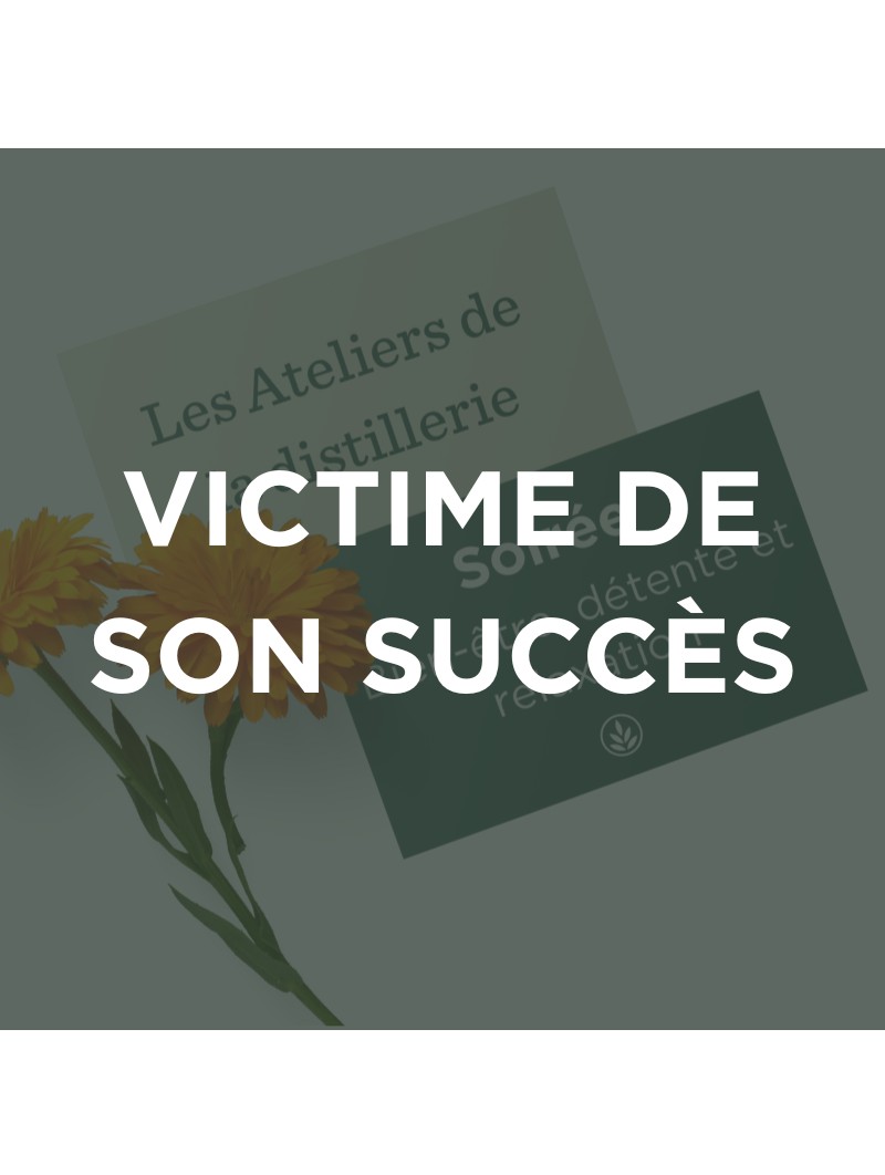 ATELIER N°5 - Journée de la Femme