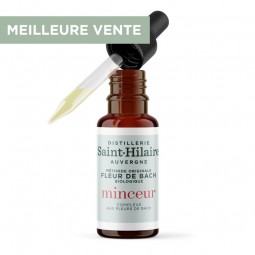copy of HELP'MINCEUR...
