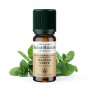 Huile Essentielle de Menthe Nanah Bio