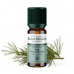 SCOTS PINE