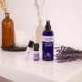Huile Essentielle Bio de Lavande Vraie